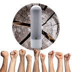 Récipient de conservation des herbes fraîches