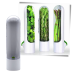 Récipient de conservation des herbes fraîches
