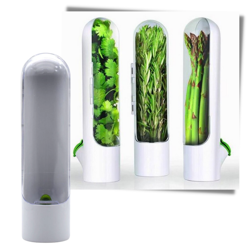 Récipient de conservation des herbes fraîches