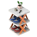 Rangement pour chaussures à plusieurs niveaux