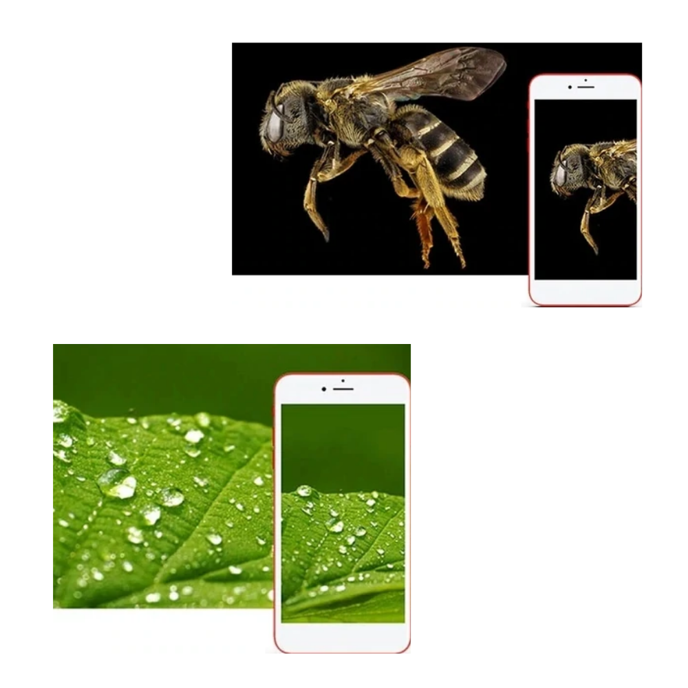 Microscope numérique à USB avec LED