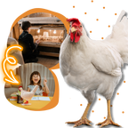 Lampe douce en forme de poule