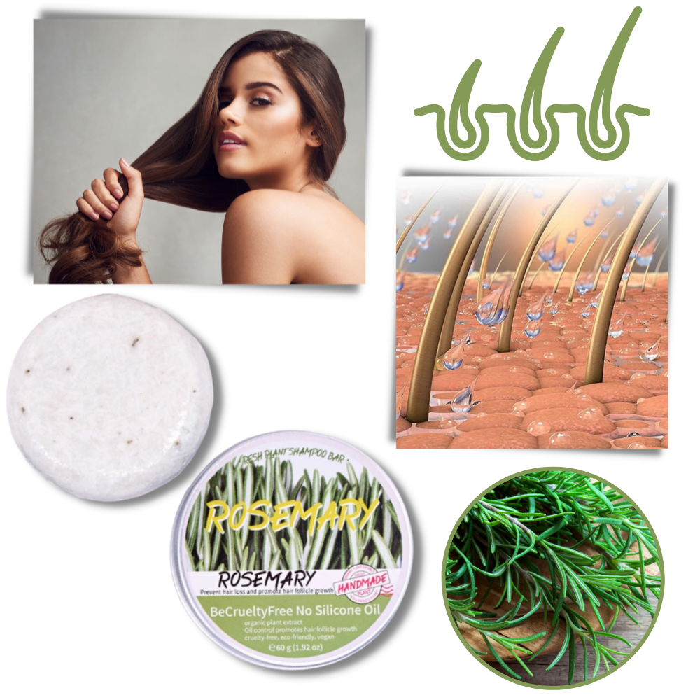 Shampoing au romarin